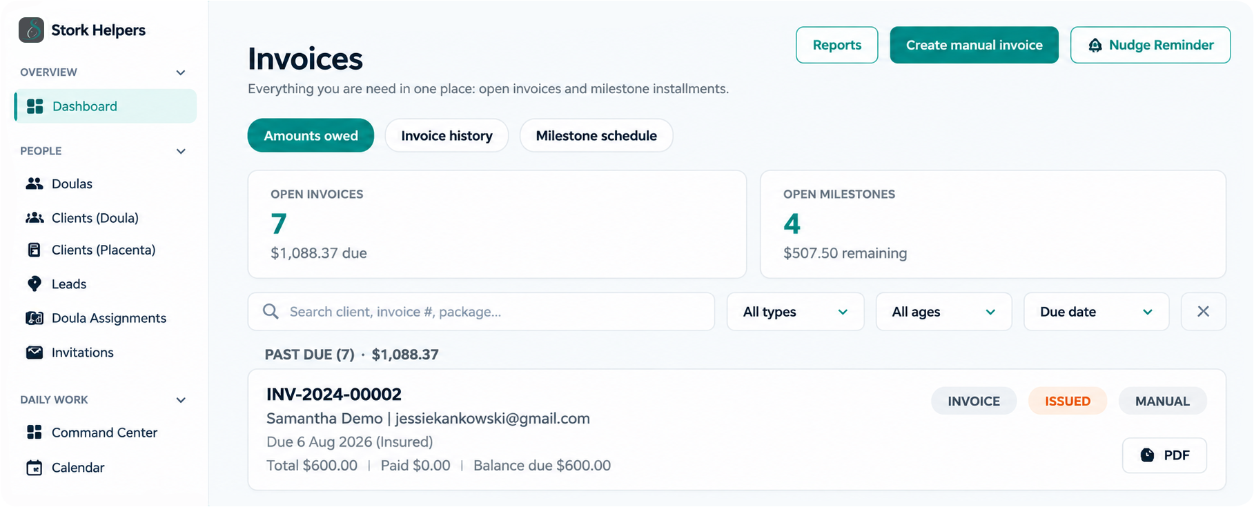 BirthFlow invoices dashboard