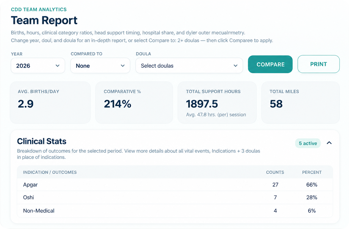 BirthFlow Team Report dashboard